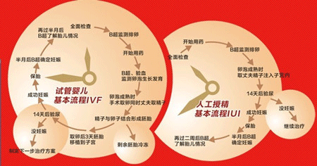 人工授精和试管婴儿的区别