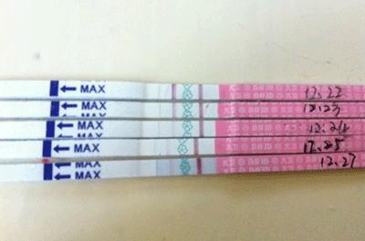 排卵试纸一直弱阳怎么回事