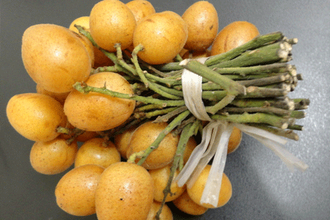 黄皮对孕妇的好处