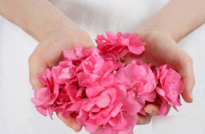 子宫附件炎的护理