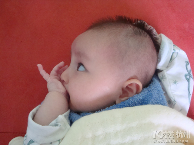 �����ֹ���7���£�������