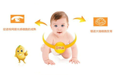 孕妇如何补dha