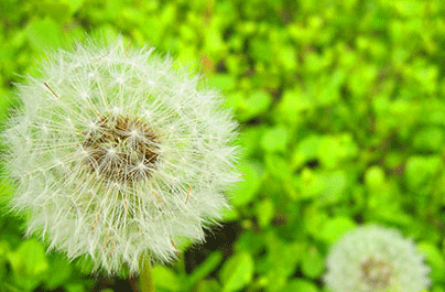 乳腺病是怎么引起的