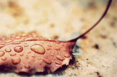 妇科卵巢囊肿的症状