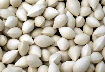 孕妇吃白果的危害