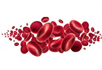 再生障碍性贫血治疗