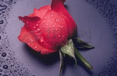 经期同房会不会怀孕