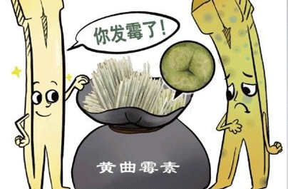 黄曲霉素是什么