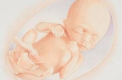 胎儿宫内缺氧怎么办