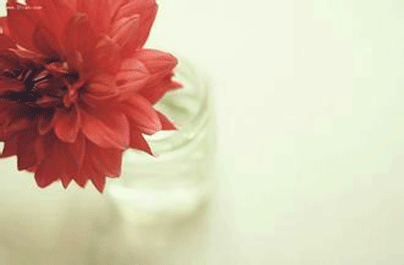 引起不孕的原因