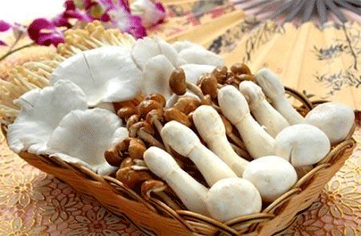 小孩子抵抗力差吃什么好