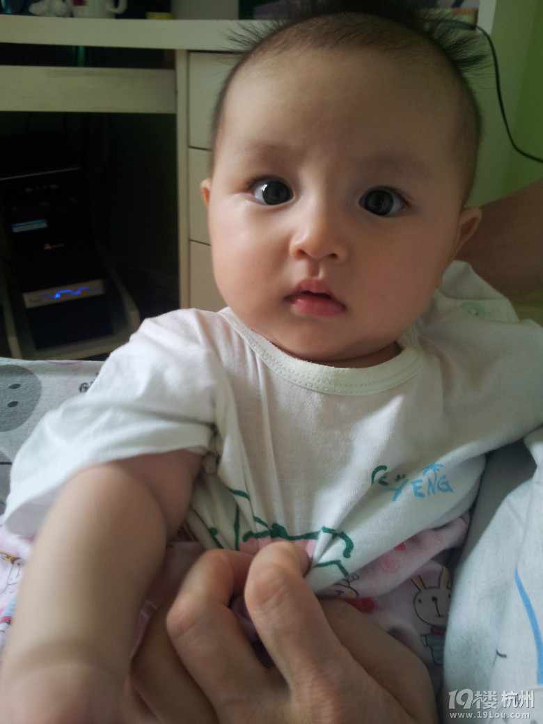 大眼胖姑娘7个月，上照啦