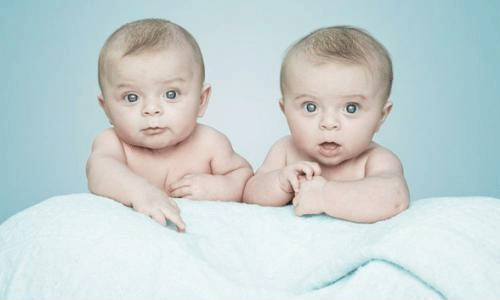 怀双胞胎注意事项