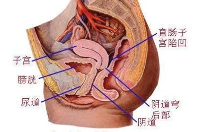 女性尿道炎的治疗