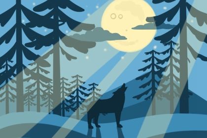 起名五行属水的字及其解释