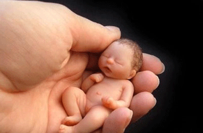 孕妇早产的原因有哪些