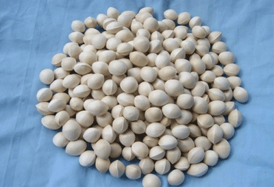 孕妇能吃白果吗