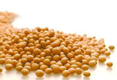 月经期间如何丰乳