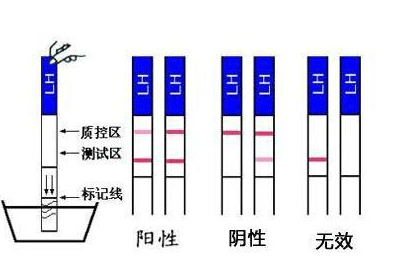 试纸一深一浅说明什么